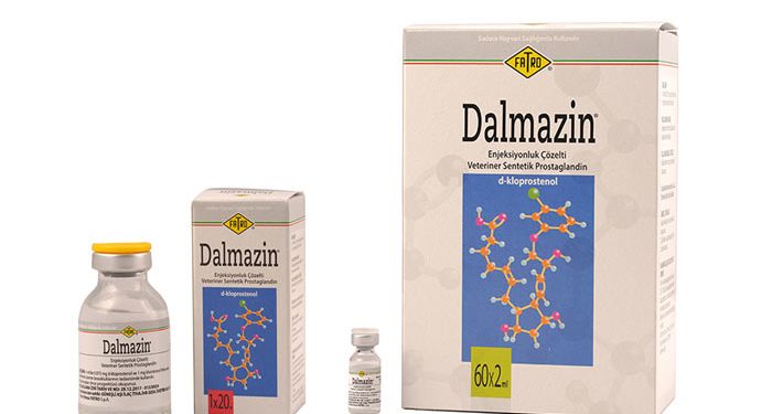 Dalmazin