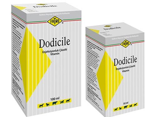 Dodicile