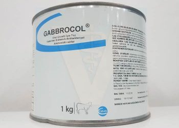 Gabbrocol