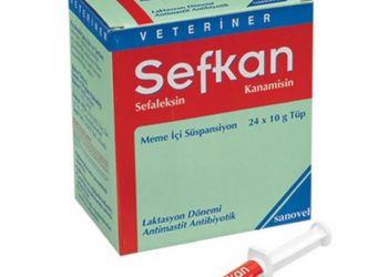Sefkan