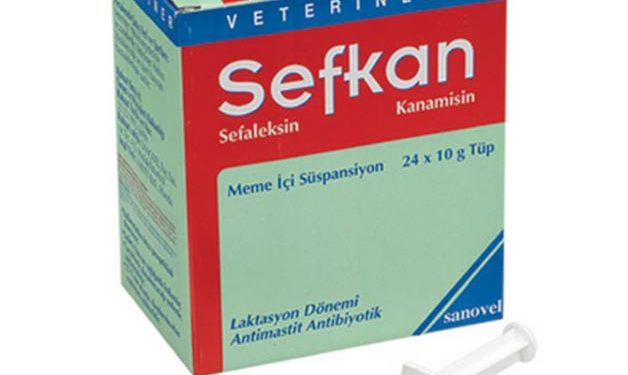 Sefkan