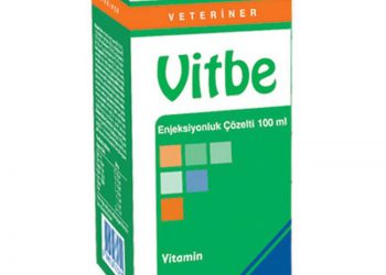Vitbe