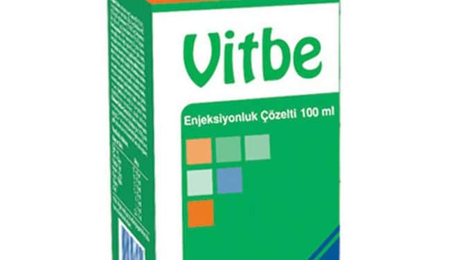 Vitbe