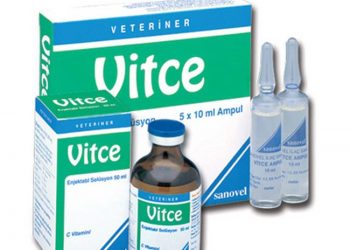 Vitce