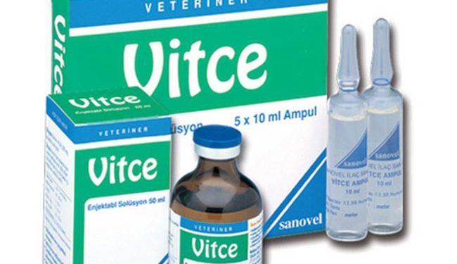 Vitce