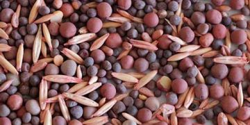 Yem Bileşimi Nedir?