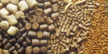 Yem Ham Maddesi Nedir?