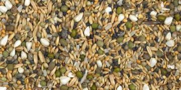 Yem Karışımı Nedir?