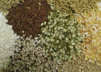 Yem Katkı Konsantresi Nedir?