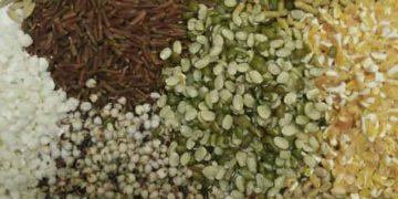 Yem Katkı Konsantresi Nedir?