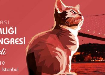 2. Uluslararası Kedi Hekimliği Derneği Kongresi