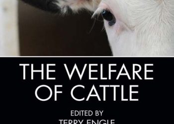 Sığırların Refahı