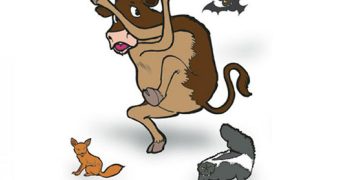 İneklerde Sinirsel Bozukluklar