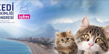 Kedi Hekimliği Kongresi 18-20 Ekim 2019