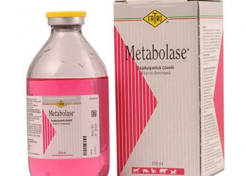 Metabolase