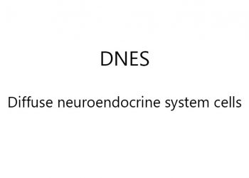 Yaygın Nöroendokrin Sistem Hücreleri Nedir?