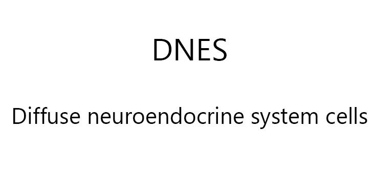 Yaygın Nöroendokrin Sistem Hücreleri Nedir?