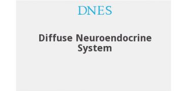 Yaygın Nöroendokrin Sistem Nedir?