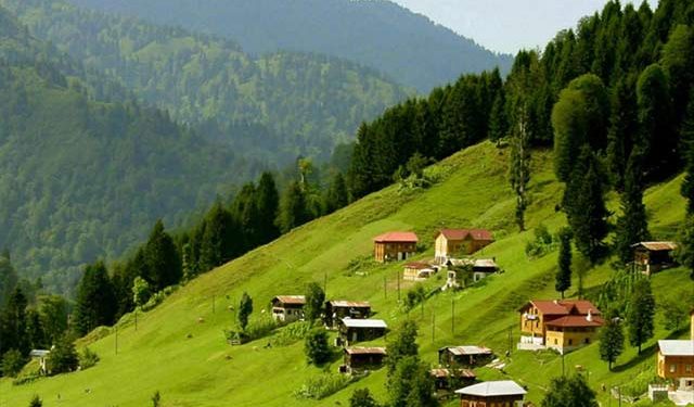 Yayla Nedir?