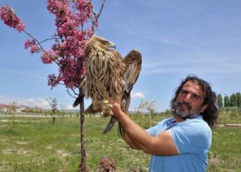 20 yıldır hayatını yaban hayvanlarına adadı