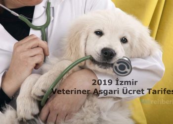 2019 İzmir Veteriner Asgari Ücret Tarifesi