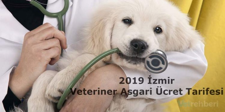 2019 İzmir Veteriner Asgari Ücret Tarifesi