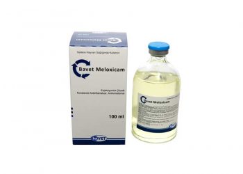 Bavet Meloxicam