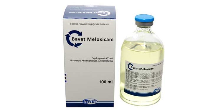 Bavet Meloxicam