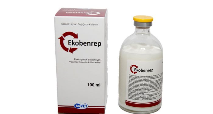 Ekobenrep