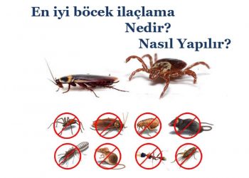 En iyi böcek ilaçlama Nedir? Nasıl Yapılır?
