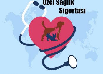 Hayvanlara Özel Sağlık Sigortası