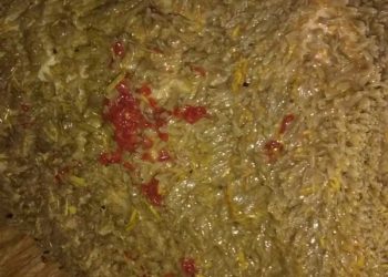 İşkembe Kelebekleri