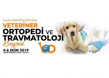 Uluslararası Katılımlı Veteriner Ortopedi Derneği Kongresi 4-6 Ekim 2019