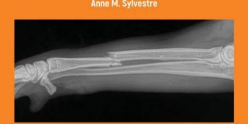 Küçük Hayvan Pratisyeni İçin Kırık Yönetimi