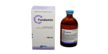 Fundamin
