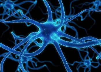 Glikokortikoid Grubu Hormonlar