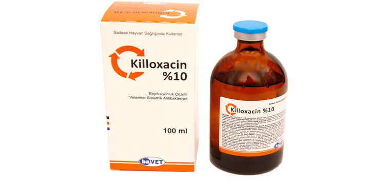 Killoxacin %10