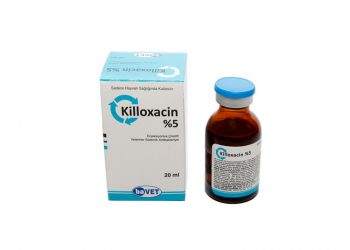 Killoxacin %5