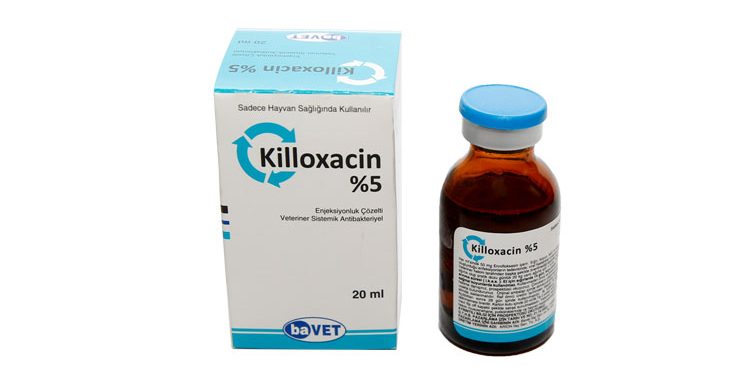 Killoxacin %5