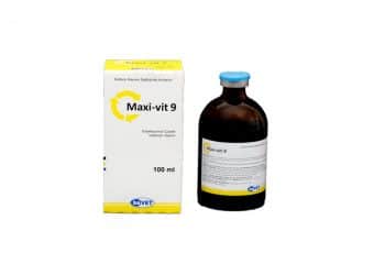 Maxi-vit 9