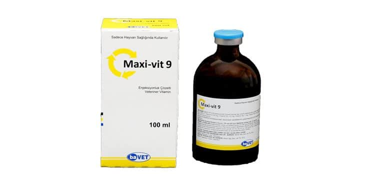 Maxi-vit 9