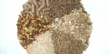 Yaşama Payı Rasyonu Nedir?