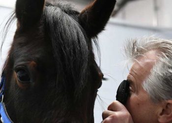 Yaşlılık Retinopatisi Nedir?