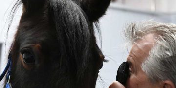 Yaşlılık Retinopatisi Nedir?