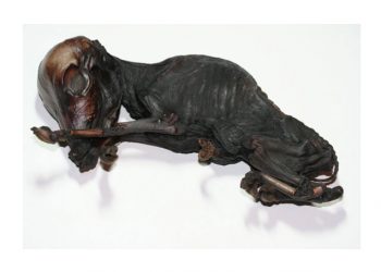 Yavrunun Mumyalaşması