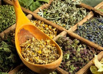 Yem Katkı Maddelerinde Kullanılan Şifalı Bitkiler