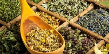 Yem Katkı Maddelerinde Kullanılan Şifalı Bitkiler