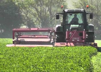 Yüksek Kalitede Yonca Silajı Hasadı ve Hazırlama