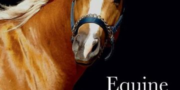 Atlarda Davranış Tıbbı