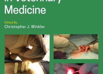 Veteriner Hekimlikte Lazer Cerrahisi